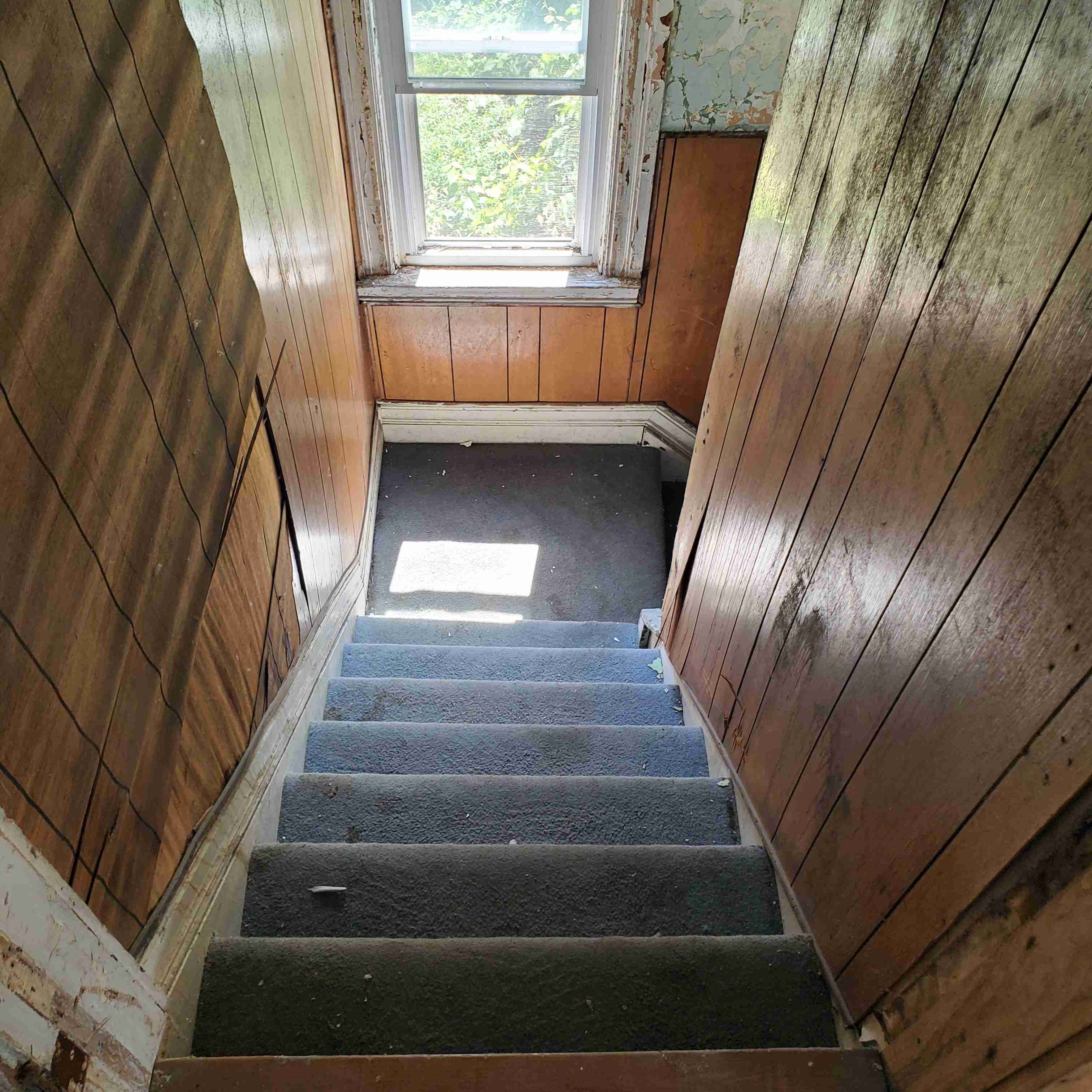 20200812_130418 (2).jpg